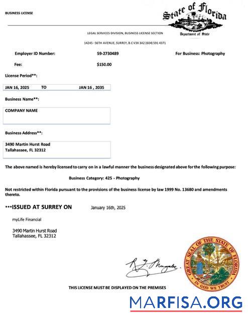 Realistic USA Florida business license Word and PDF template
